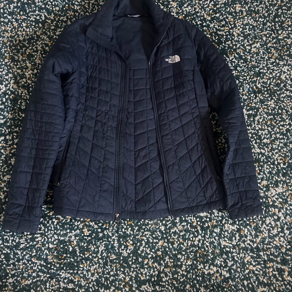 The North Face Black Puffer Jacket with Quilted Design